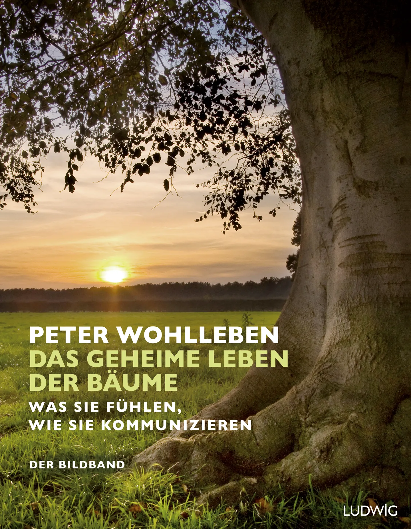Einladung zur Lesung: Peter Wohlleben liest aus seinem Bestseller „Das geheime Leben der Bäume“