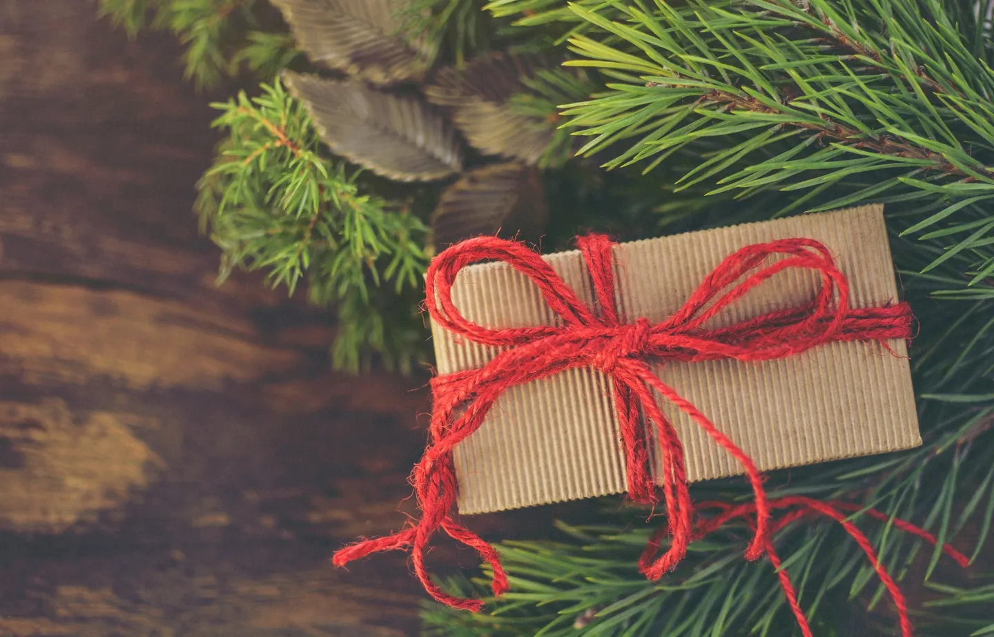 Vom Krimi bis zum Kochbuch: Die persönlichen Leseempfehlungen der Hugendubel-Buchhändler für Weihnachten